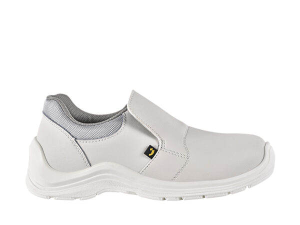 GUSTO81