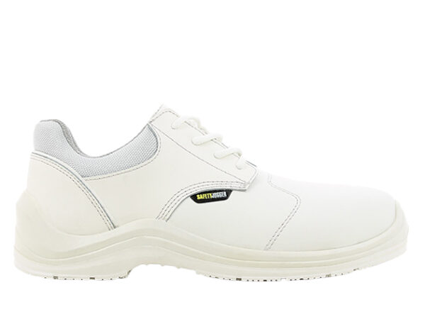 VOLLUTO81